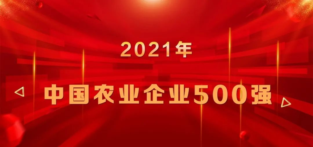 上榜|山东三星集团再登中国农业企业500强榜单