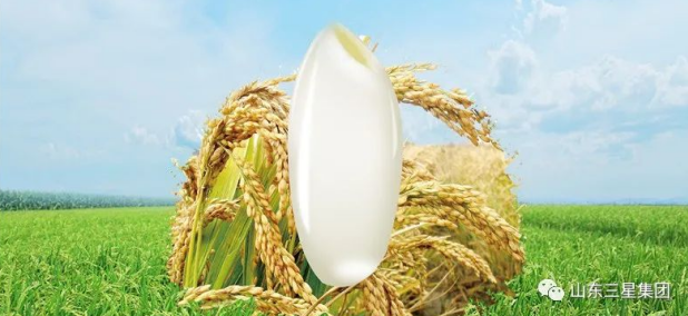 长寿花粮食产品：源头保障 稻道新鲜 “好米”只为好生活