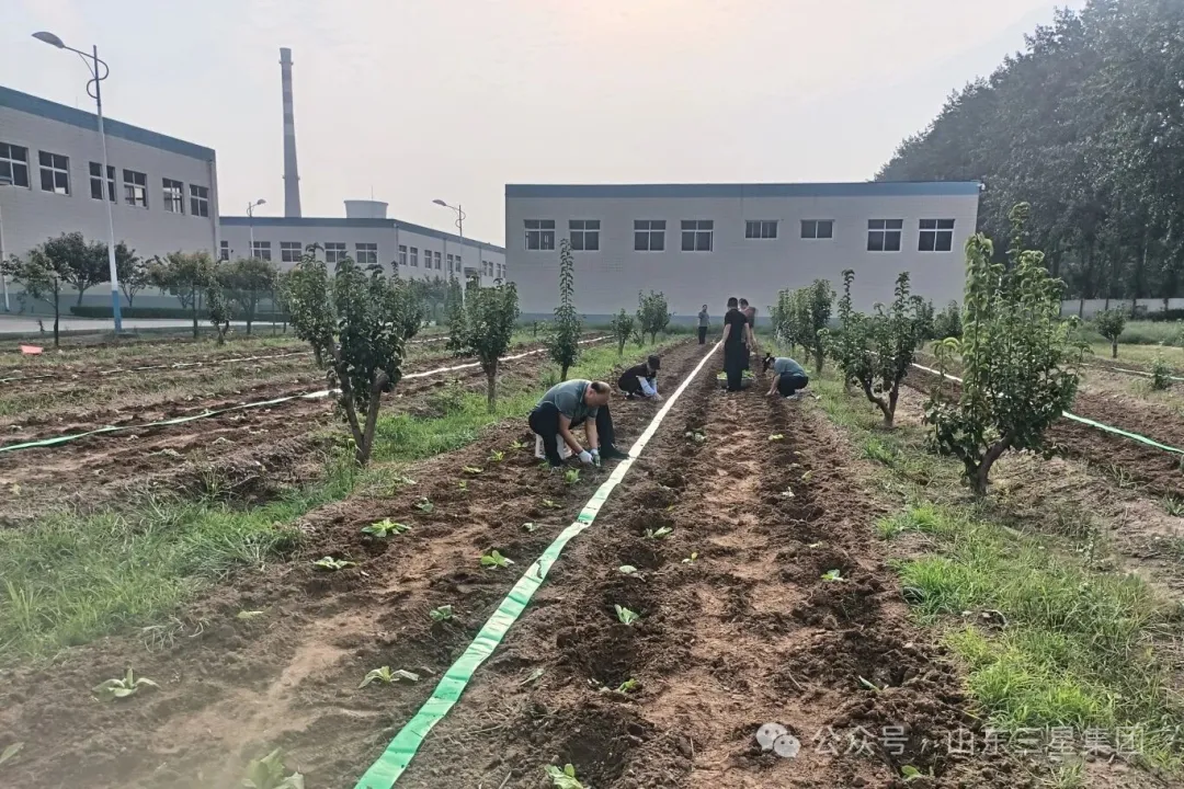 【文韵三星】又是一年播种季 共待收获喜悦时