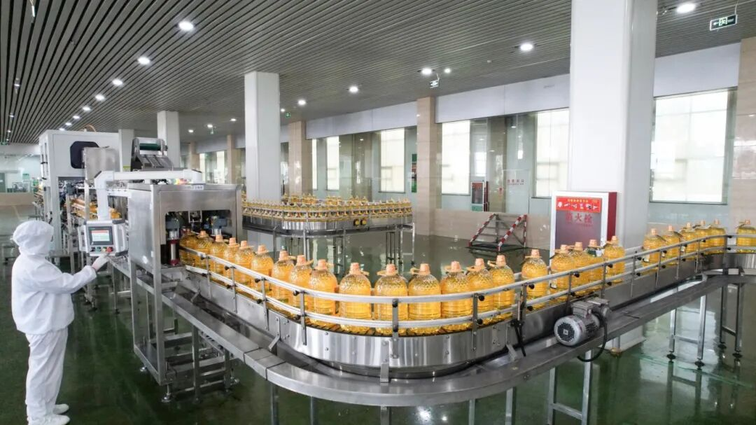 长寿花包装车间:稳质提效奋战第四季度 凝心聚力冲刺全年目标