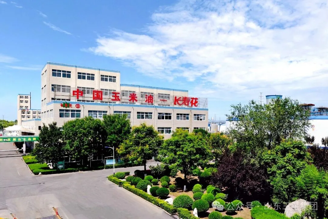 深耕知识产权建设 筑牢创新发展根基|长寿花食品顺利通过知识产权管理体系监督审核