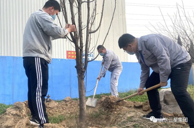 【植树节】山东三星集团：万物萌发季 春来植绿时