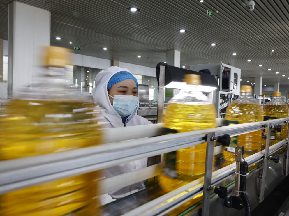 新春启航干劲足｜山东三星集团全面开工奋进新征程