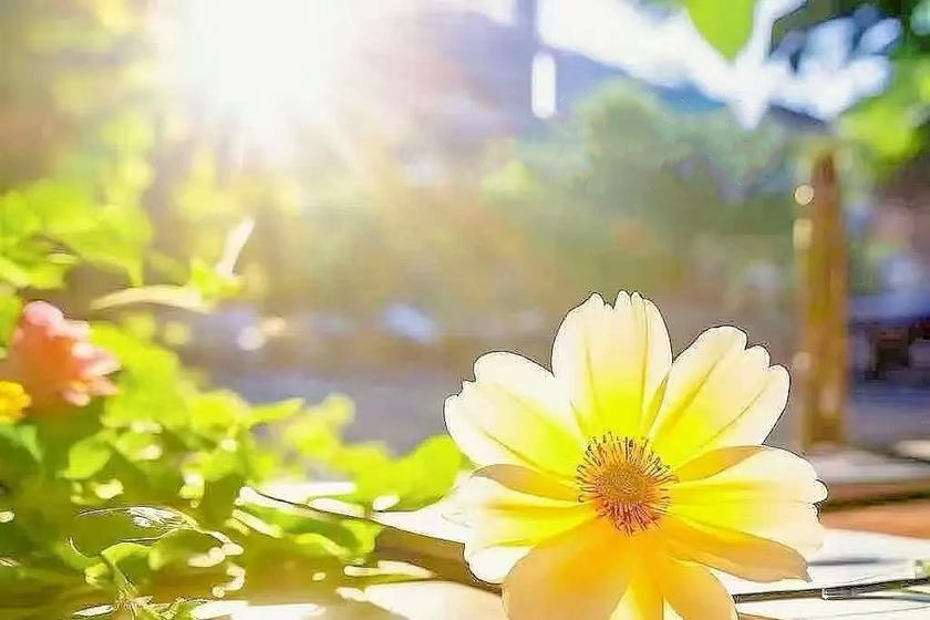 【文韵三星】流淌进时光的美好