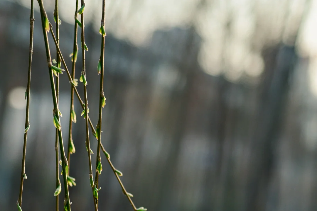 【文韵三星】春风启新程 奋进正当时