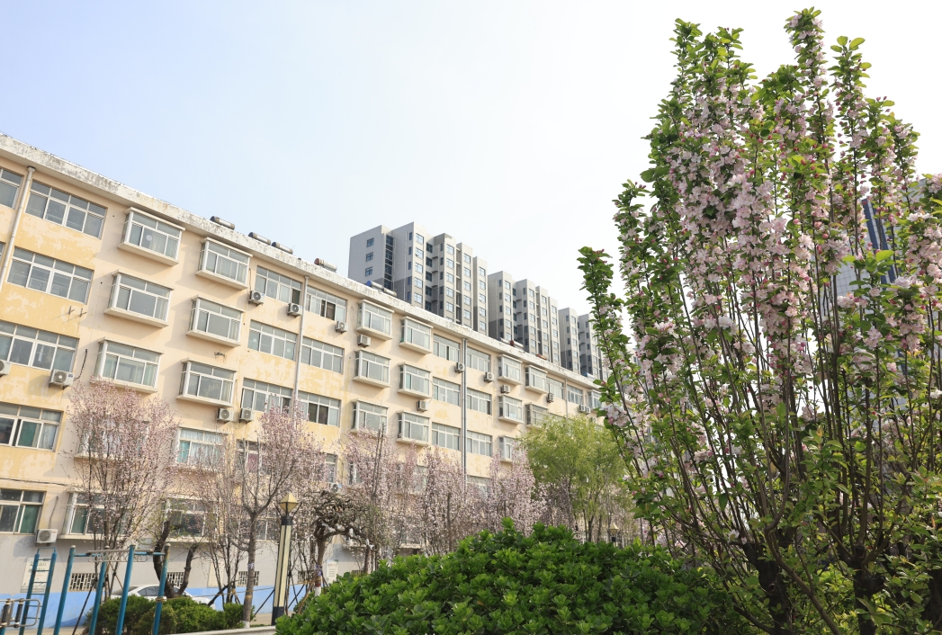 山东三星集团：春日焕新绿 匠心筑家园 职工公寓绿化品质再提升