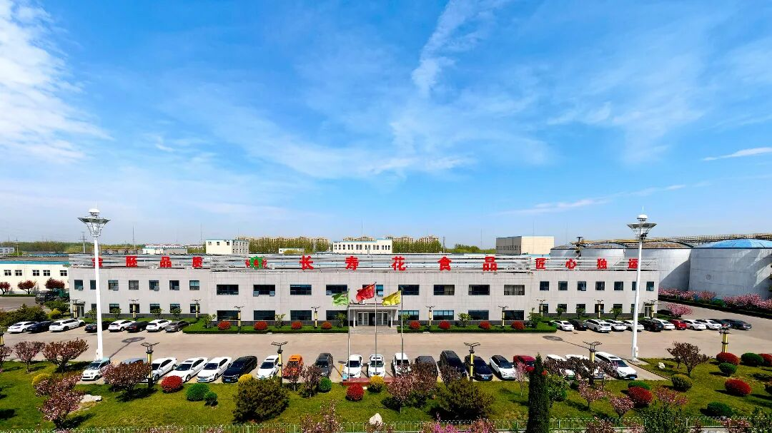 春到长寿花｜来一场工业与自然的诗意邂逅