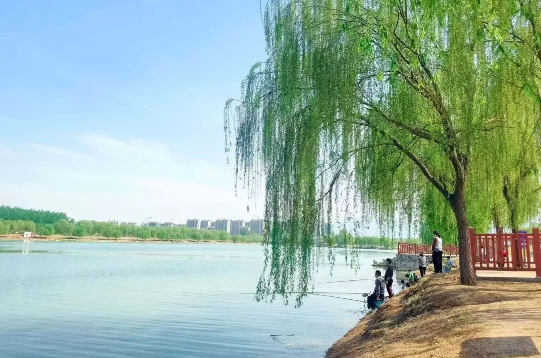 【文韵三星】湖畔春韵 人间清欢