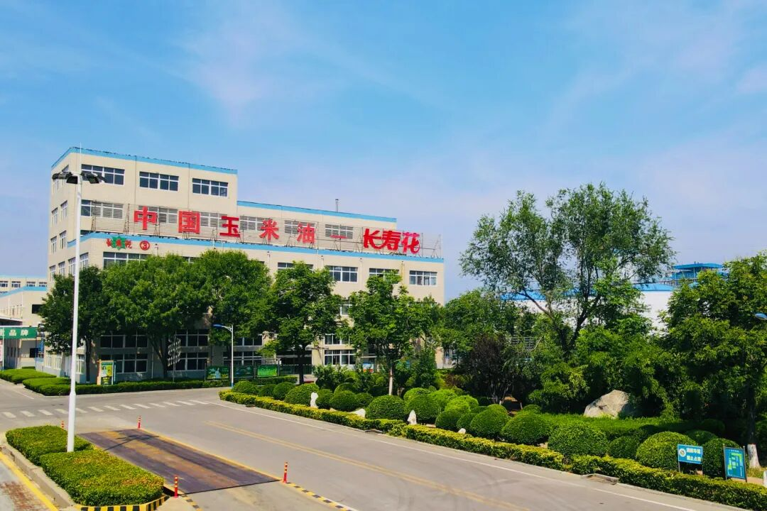 算圣文脉承千古 匠心守护铸经典｜长寿花食品倾情赋能《算圣归来/刘徽传奇》